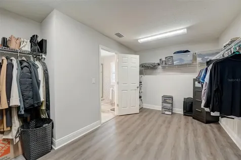 13106 Foxtail Fern Drive Riverview FL 33579