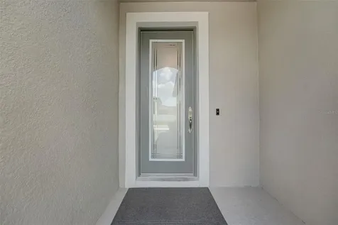 13106 Foxtail Fern Drive Riverview FL 33579
