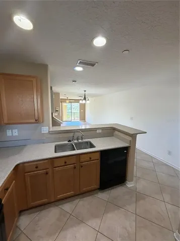 4817 Tuscan Loon Drive Tampa FL 33619