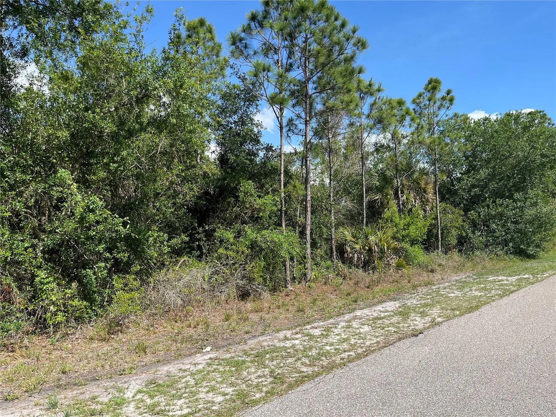 1174 Shetland Street Punta Gorda FL 33980