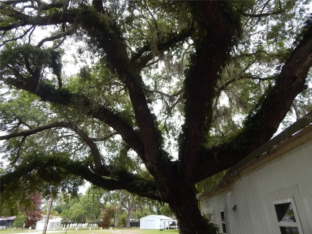 19 Anchor Inn Road Lake Wales FL 33898