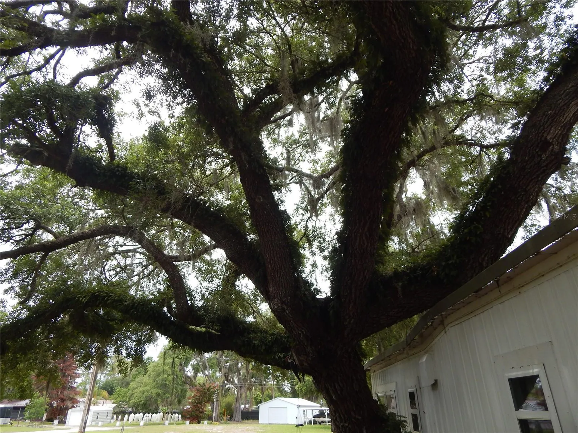 19 Anchor Inn Road Lake Wales FL 33898