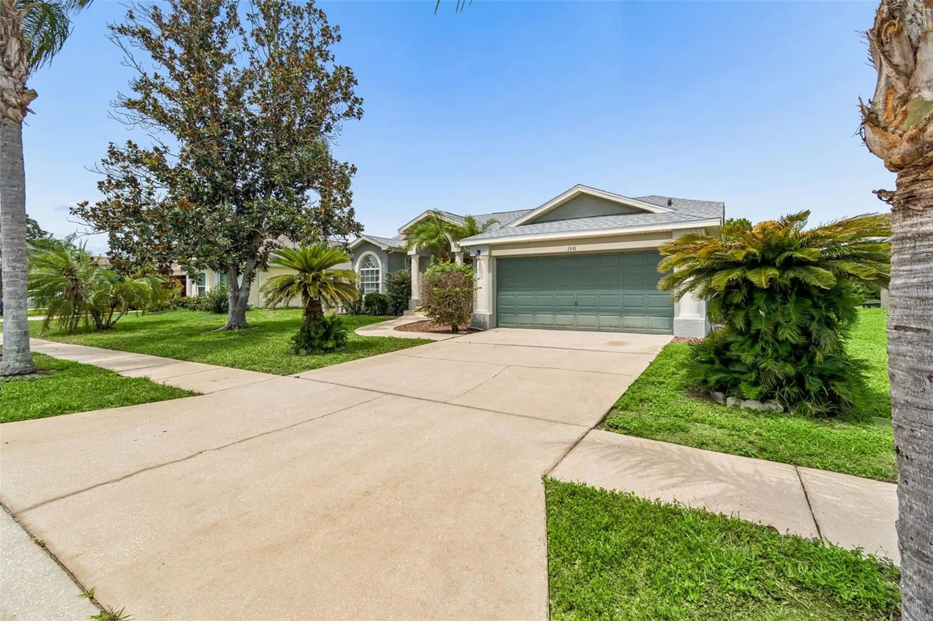 1531 Canoe Drive Lutz FL 33559