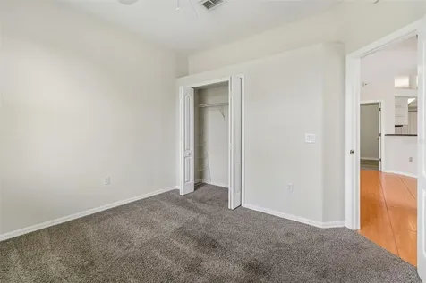 1531 Canoe Drive Lutz FL 33559