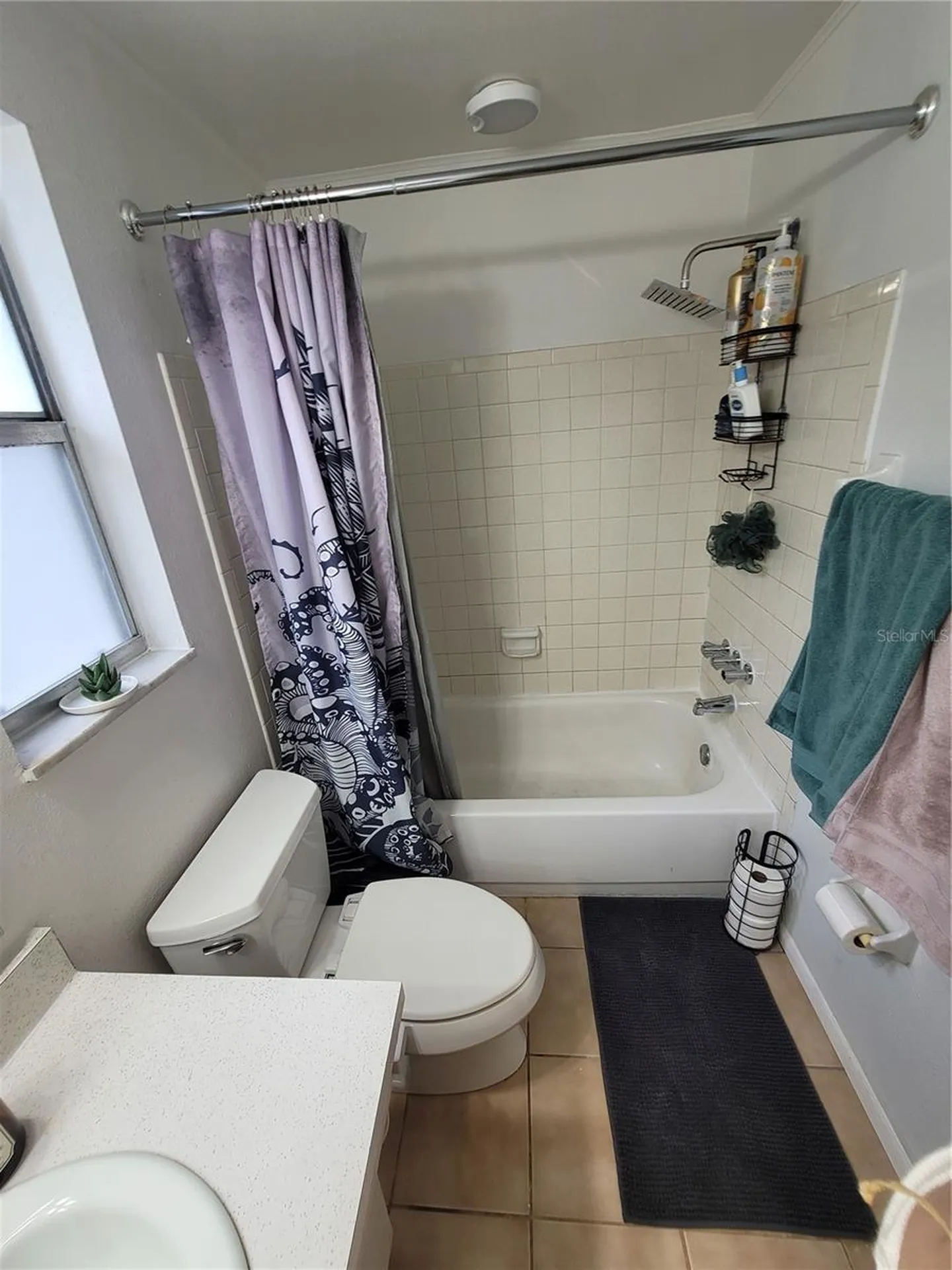 10061 61st Way N Pinellas Park FL 33782