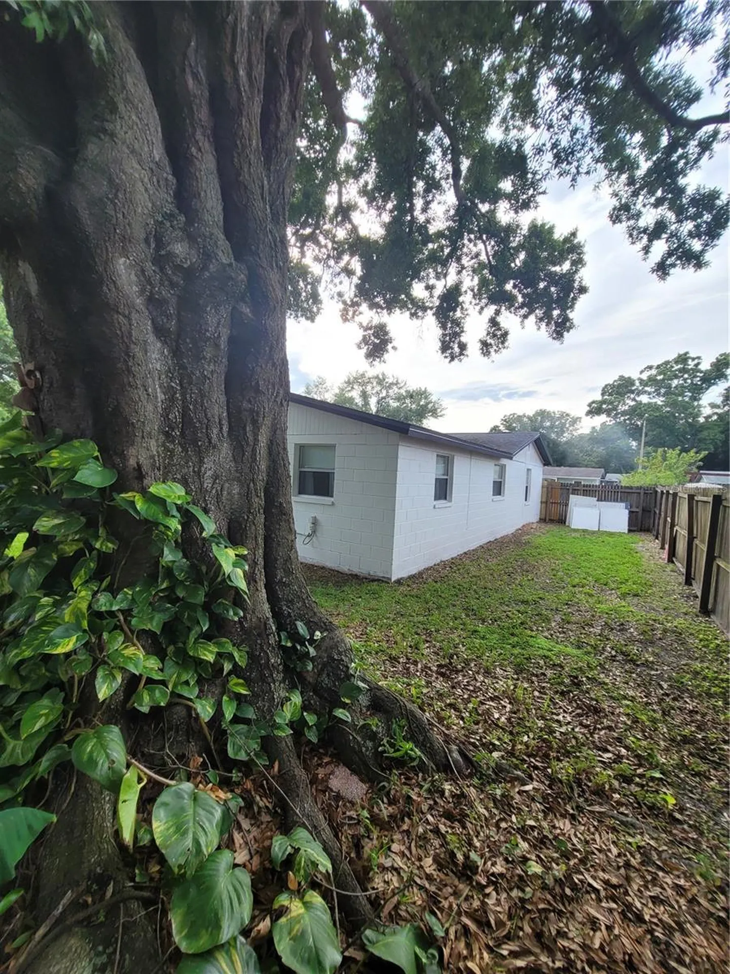 10061 61st Way N Pinellas Park FL 33782