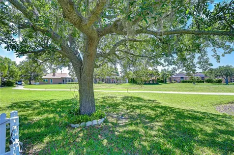 19312 Sea Mist Lane Lutz FL 33558