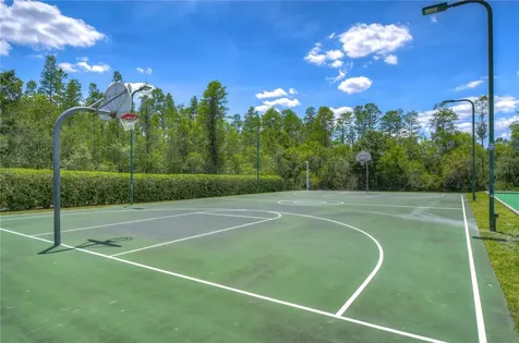 19312 Sea Mist Lane Lutz FL 33558