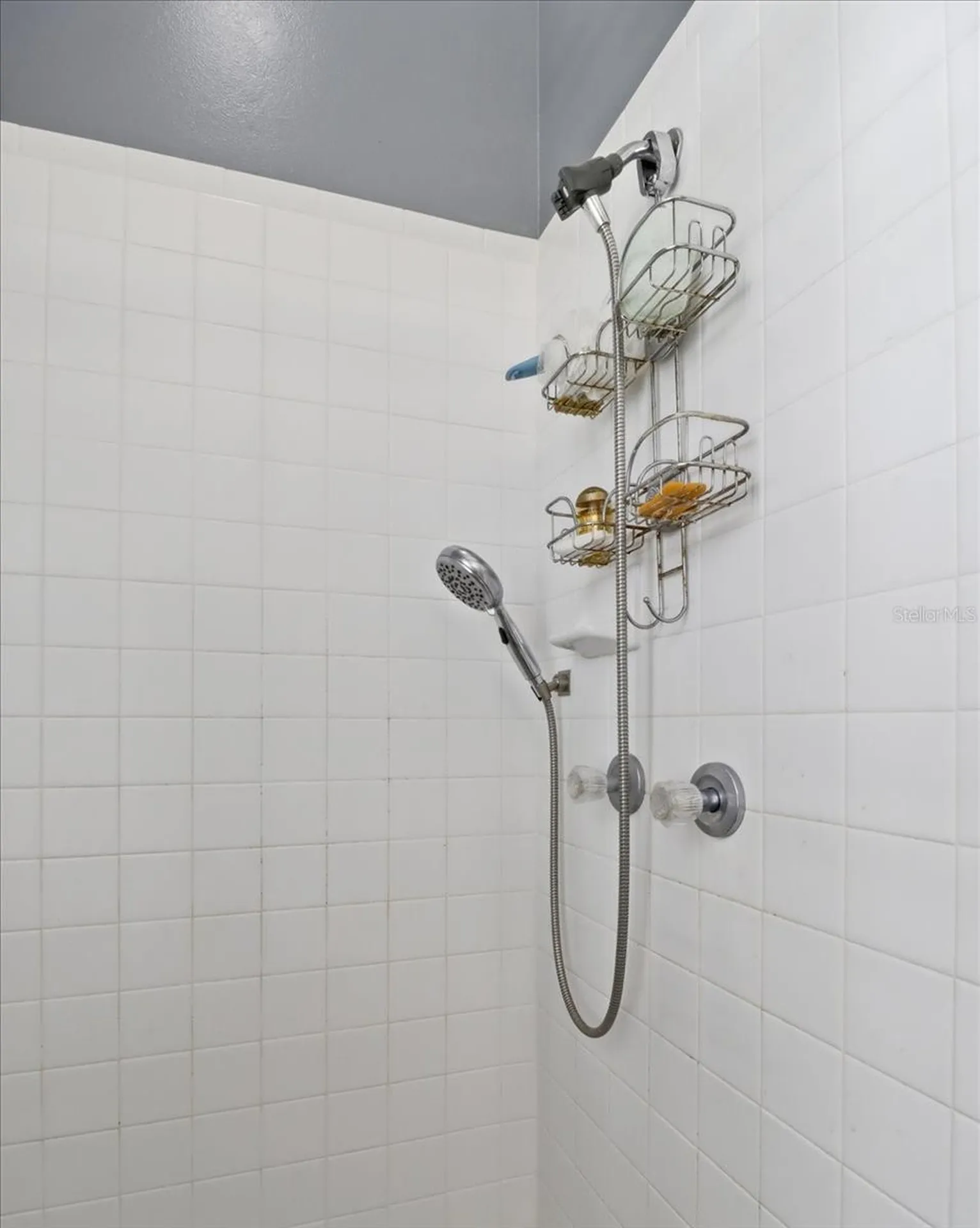 168 W Romany Loop Beverly Hills FL 34465