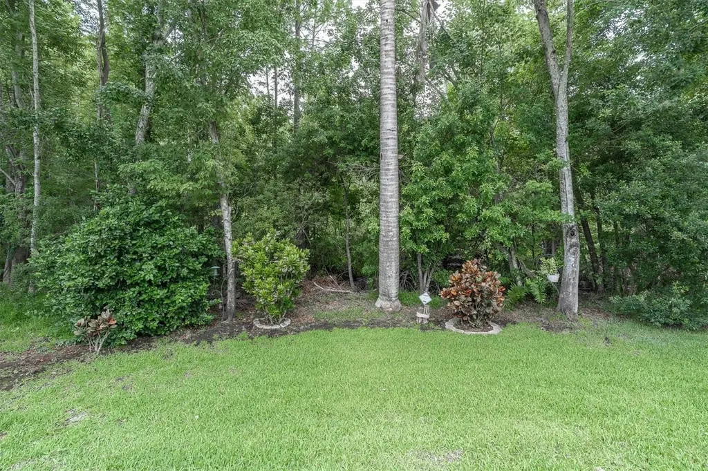10232 Woodford Bridge Street Tampa FL 33626