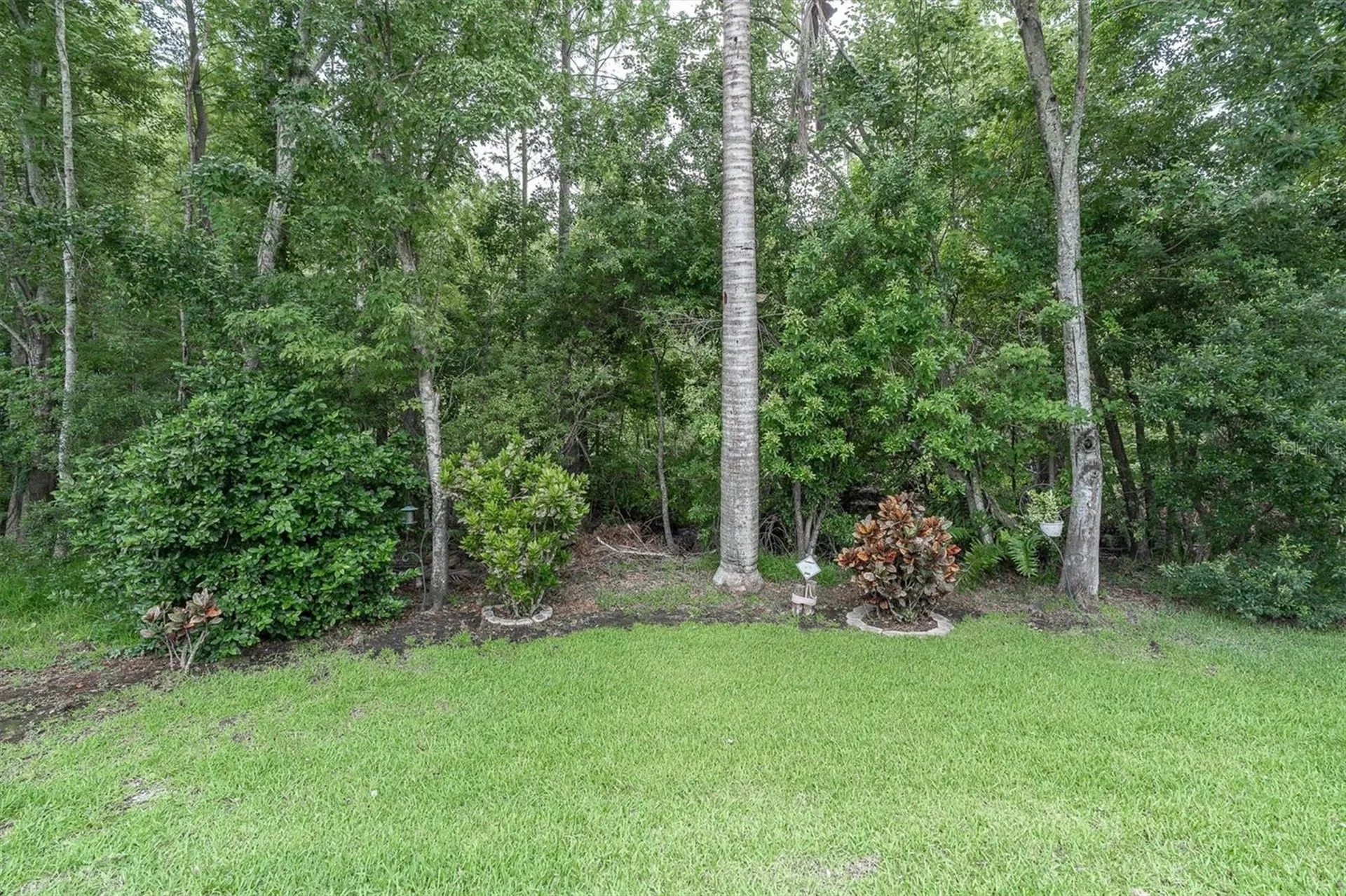 10232 Woodford Bridge Street Tampa FL 33626