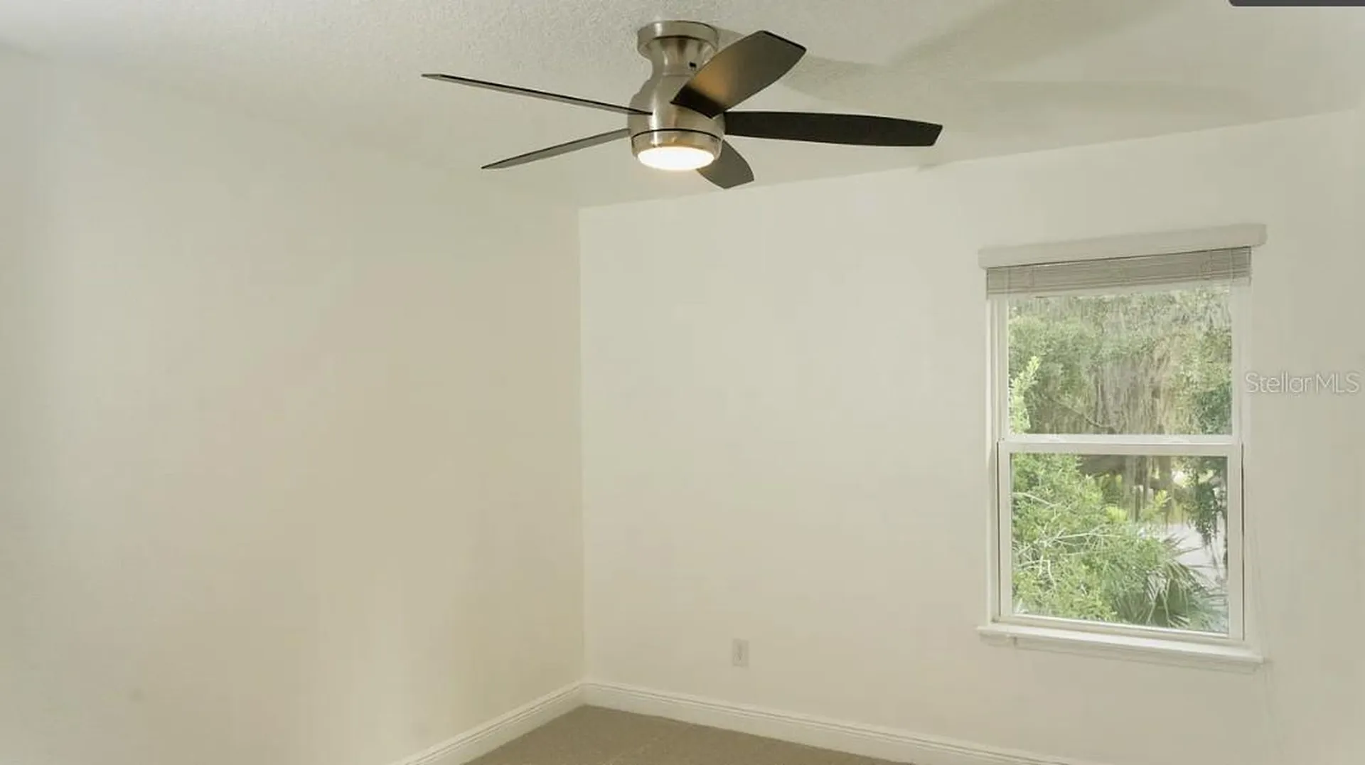 81 Mayo Court Oviedo FL 32765