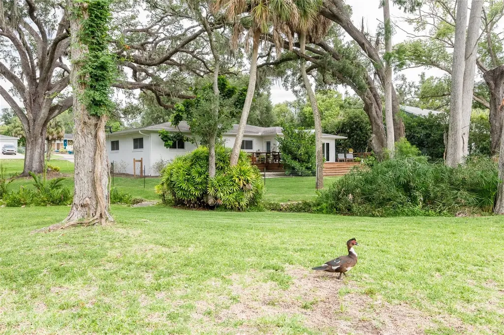 7308 N Ola Avenue Tampa FL 33604