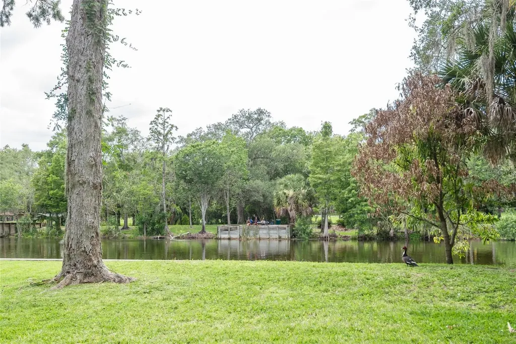 7308 N Ola Avenue Tampa FL 33604