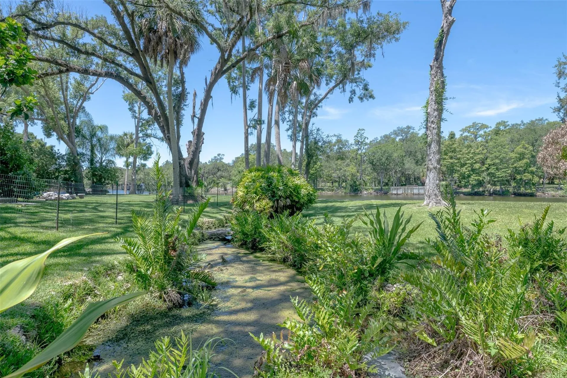 7308 N Ola Avenue Tampa FL 33604