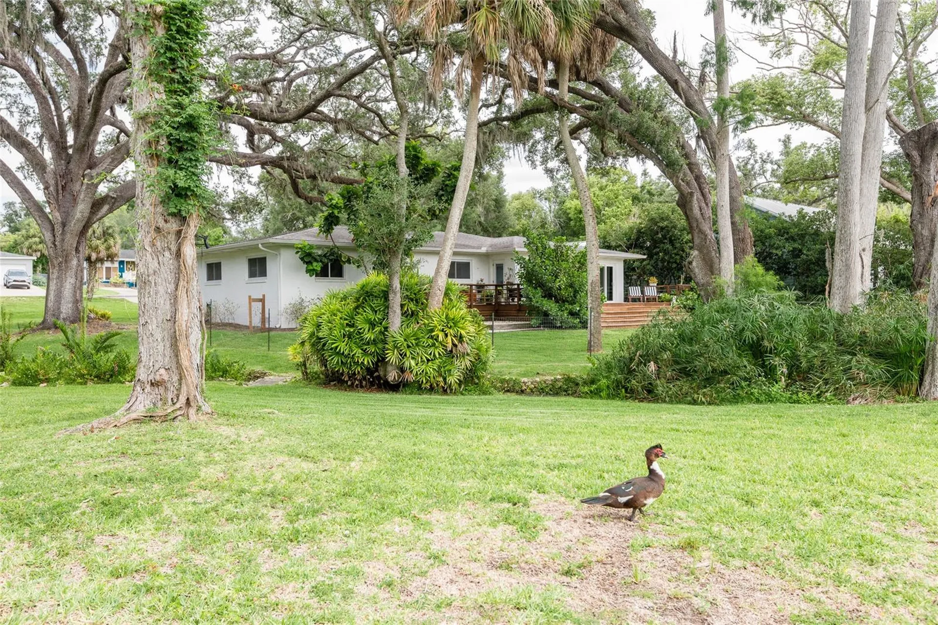 7308 N Ola Avenue Tampa FL 33604