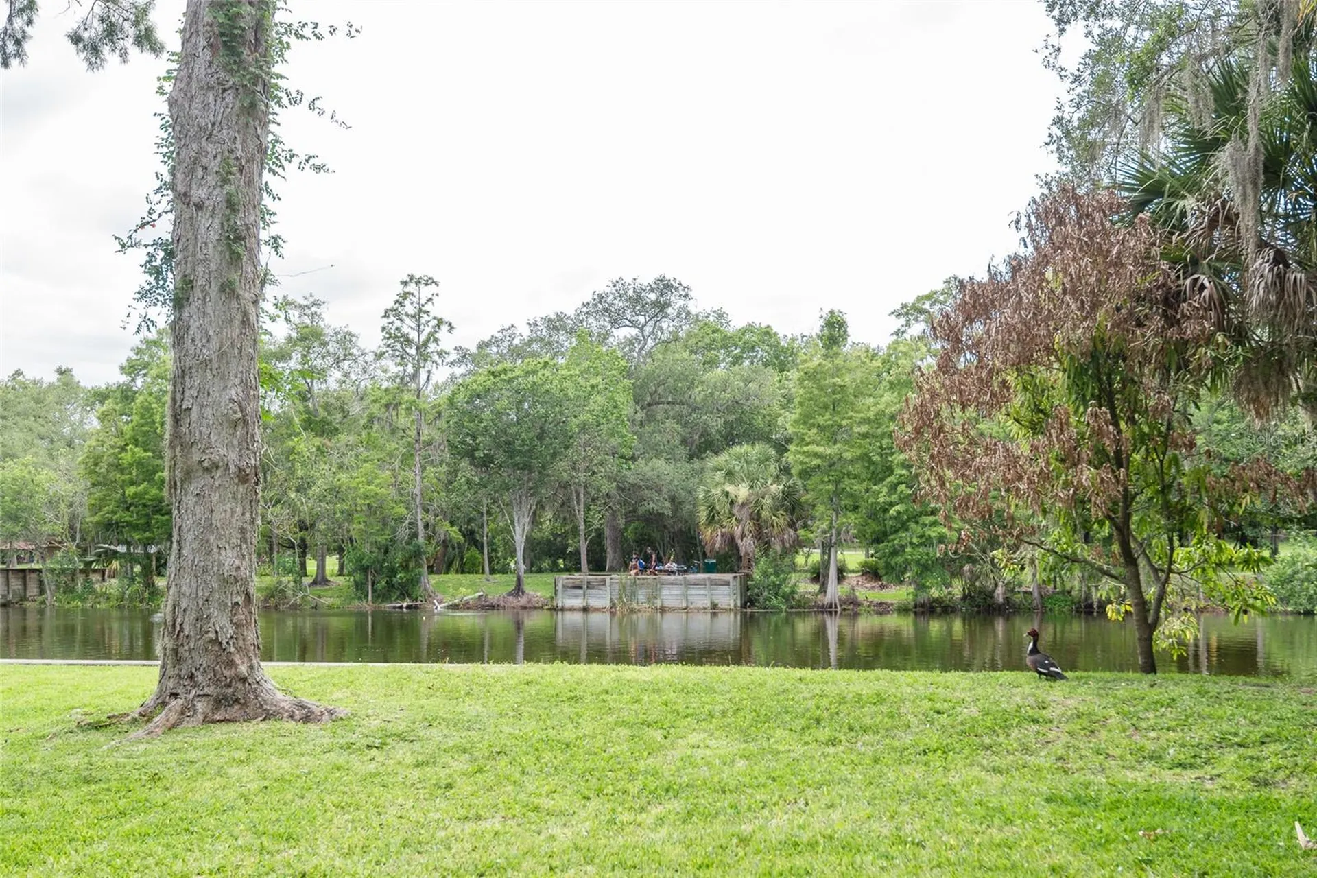 7308 N Ola Avenue Tampa FL 33604