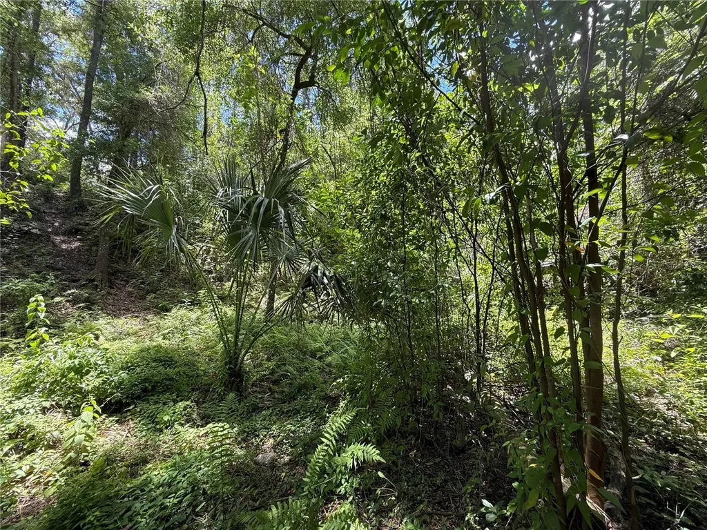 SW 53rd Place Ocala FL 34481