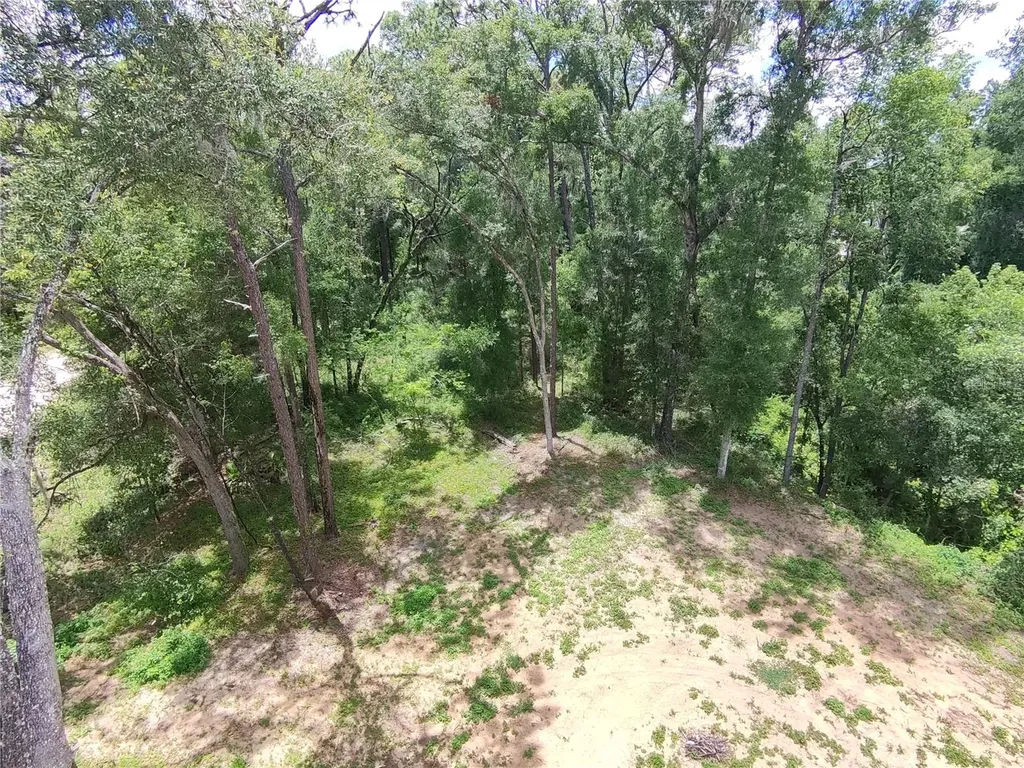 SW 53rd Place Ocala FL 34481
