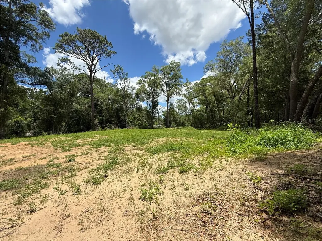 SW 53rd Place Ocala FL 34481