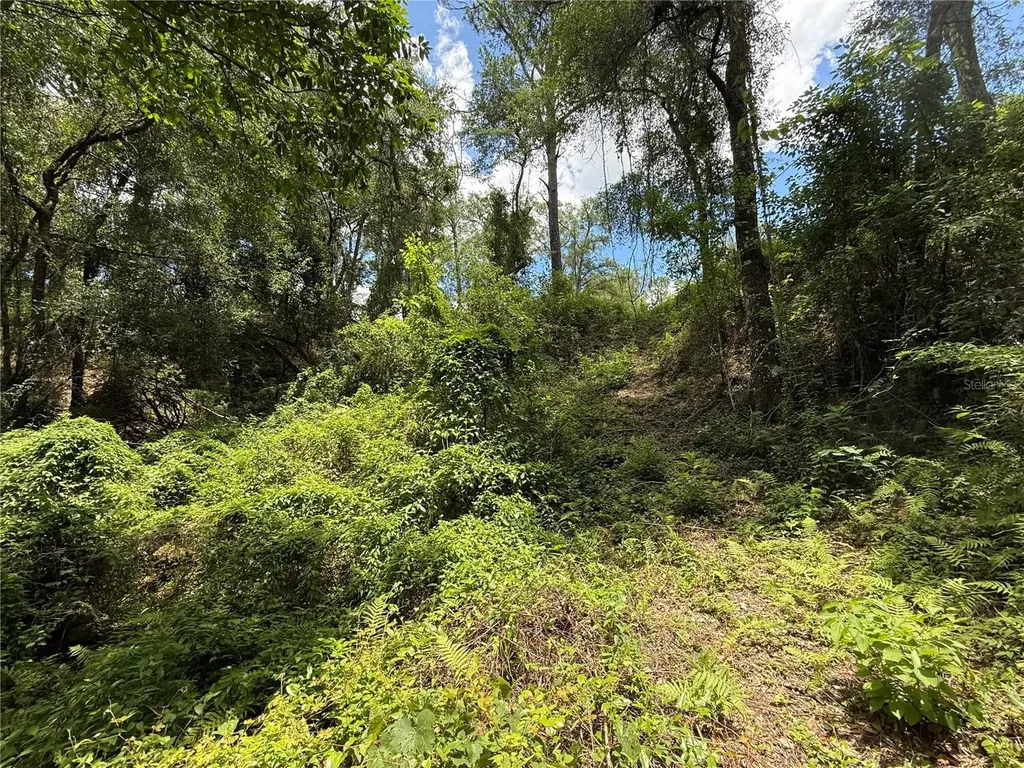 SW 53rd Place Ocala FL 34481