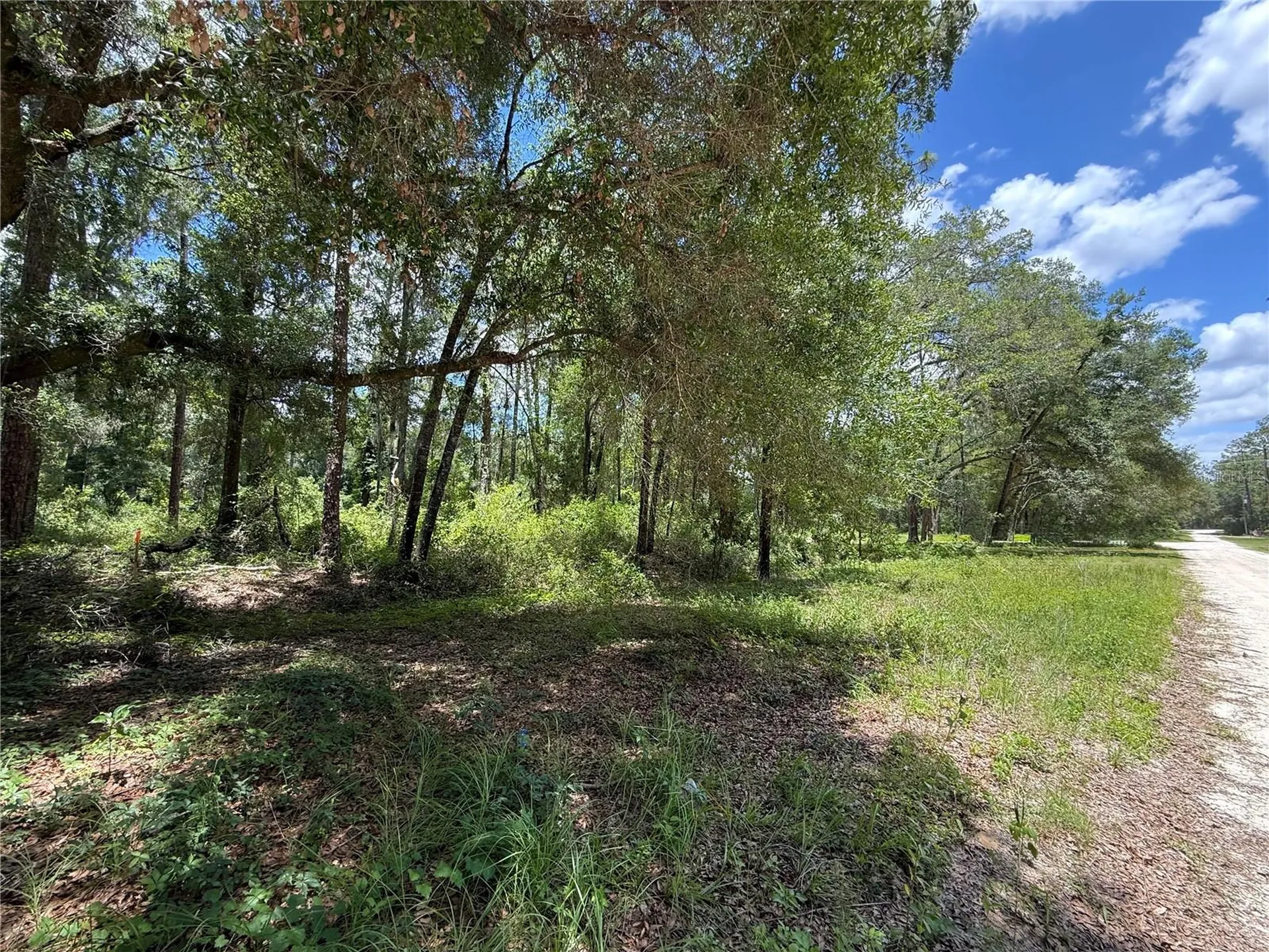 SW 53rd Place Ocala FL 34481
