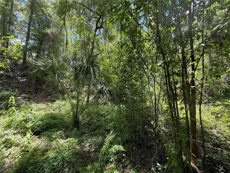 SW 53rd Place Ocala FL 34481