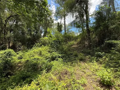 SW 53rd Place Ocala FL 34481