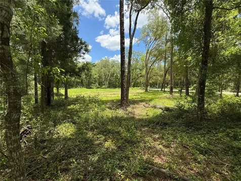 SW 53rd Place Ocala FL 34481