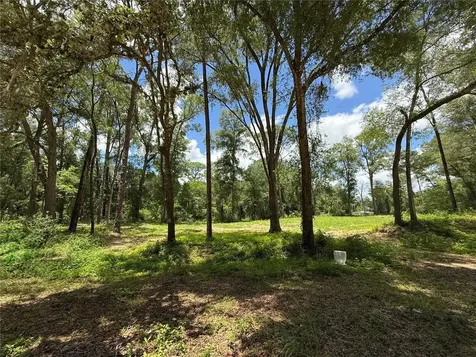 SW 53rd Place Ocala FL 34481