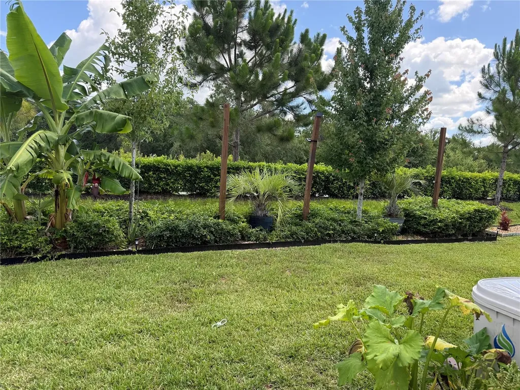 3149 Songbird Circle St Cloud FL 34773
