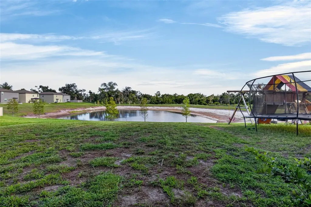 9909 Calypso Orchid Court Riverview FL 33578
