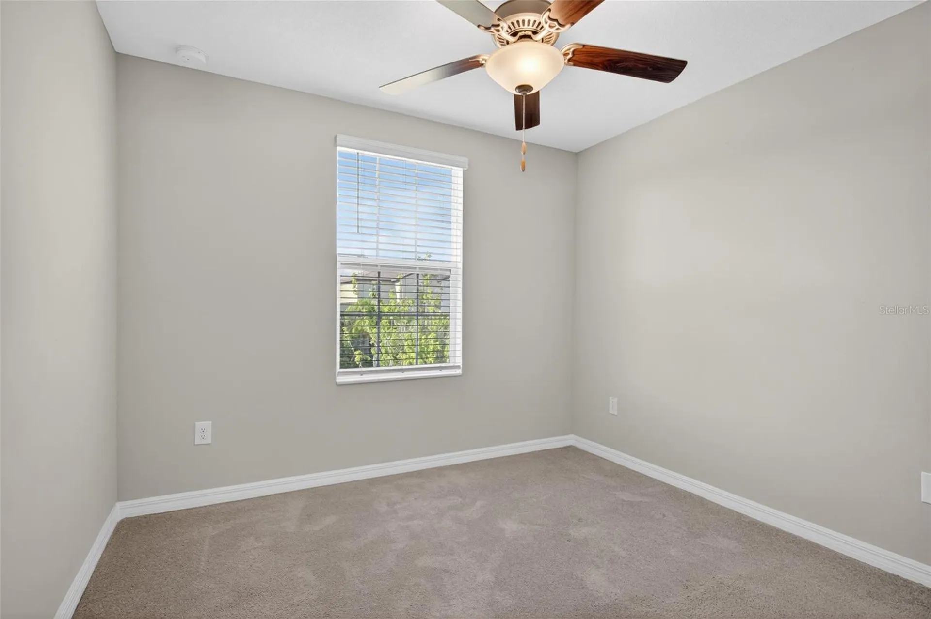 9909 Calypso Orchid Court Riverview FL 33578