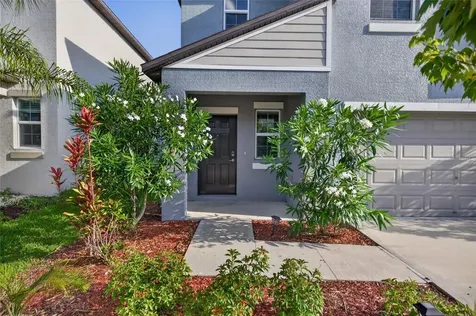 9909 Calypso Orchid Court Riverview FL 33578