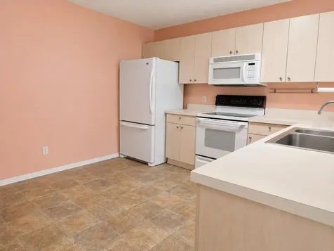 481 Hildalgo Drive The Villages FL 32159
