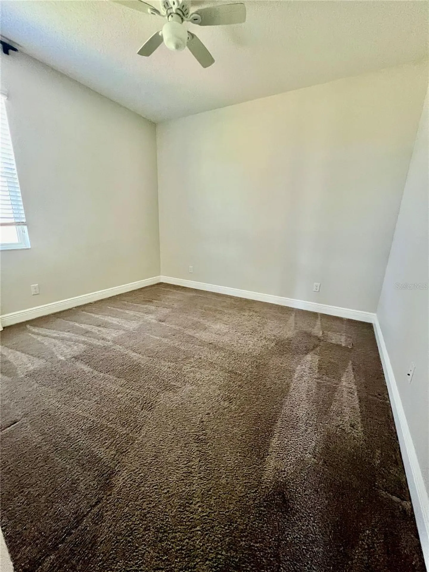 7942 Roma Dune Drive Wesley Chapel FL 33545