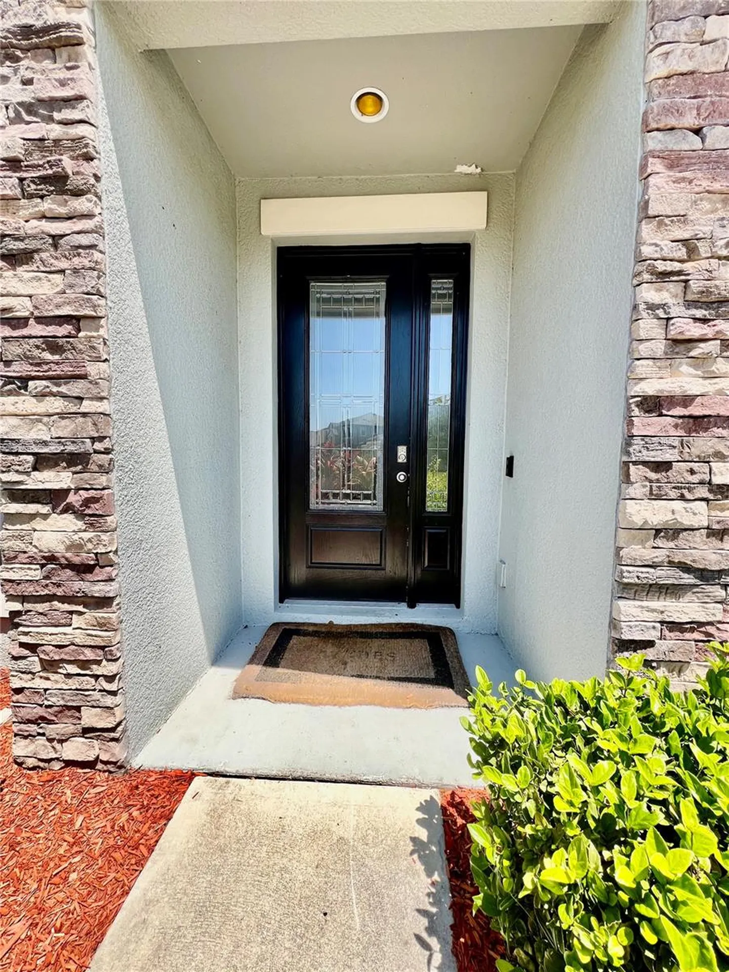 7942 Roma Dune Drive Wesley Chapel FL 33545