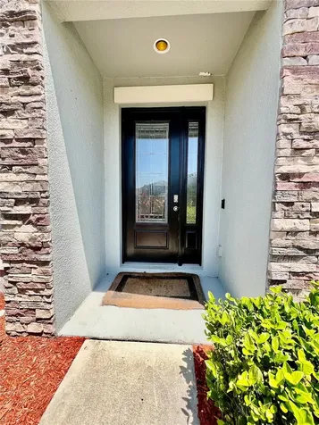 7942 Roma Dune Drive Wesley Chapel FL 33545