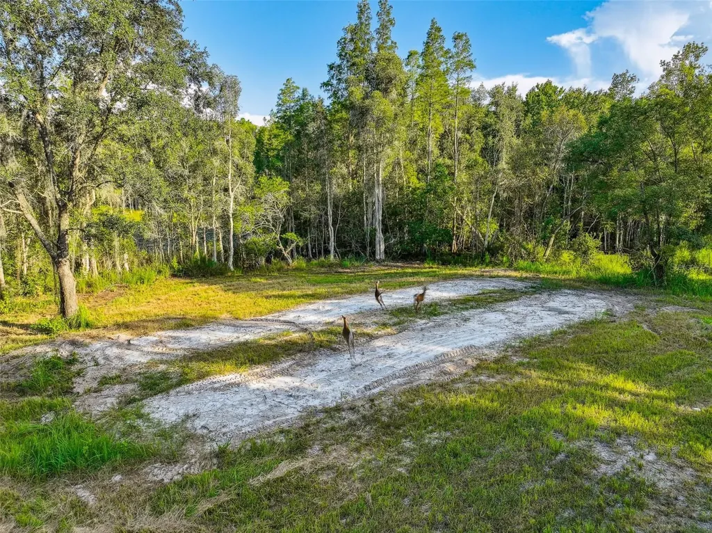1758 Land O Lakes Boulevard Lutz FL 33549