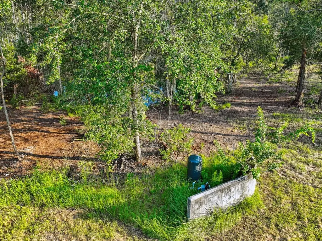 1758 Land O Lakes Boulevard Lutz FL 33549