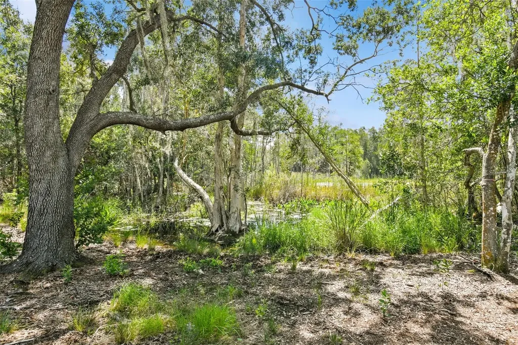 1758 Land O Lakes Boulevard Lutz FL 33549