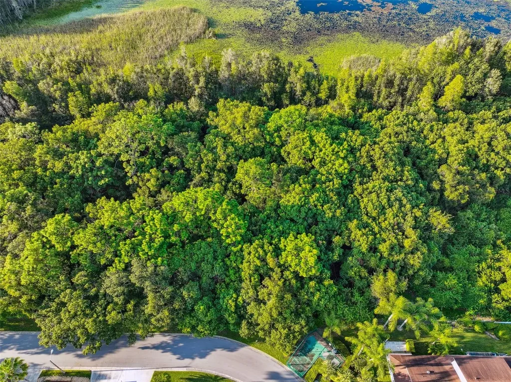1758 Land O Lakes Boulevard Lutz FL 33549