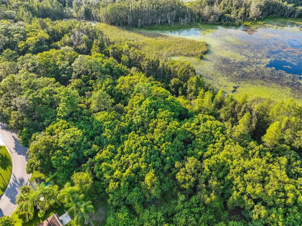 1758 Land O Lakes Boulevard Lutz FL 33549