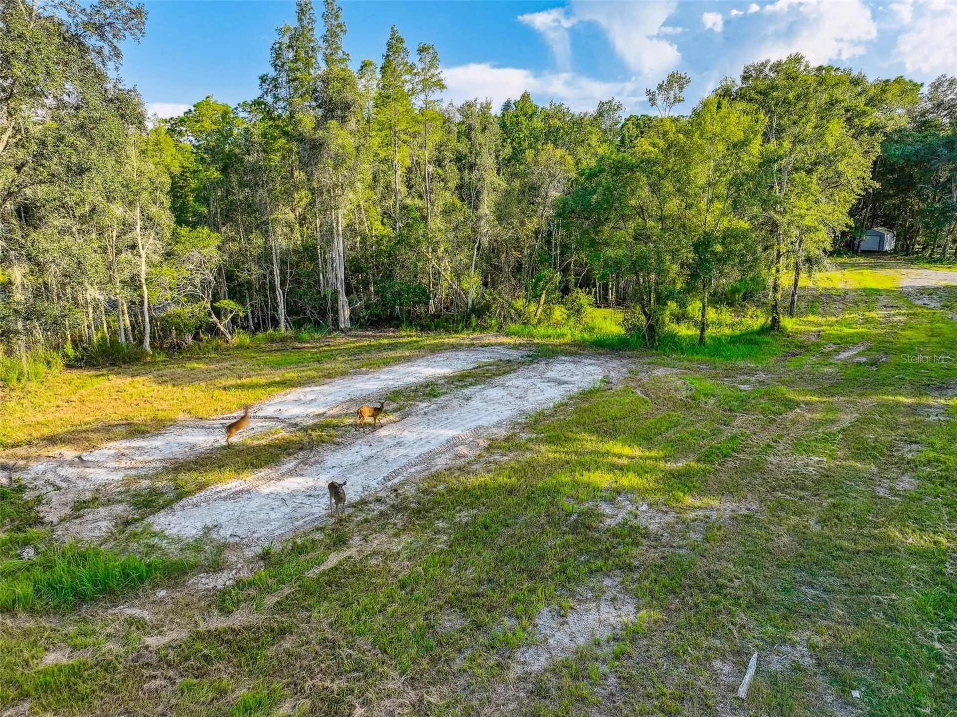 1758 Land O Lakes Boulevard Lutz FL 33549