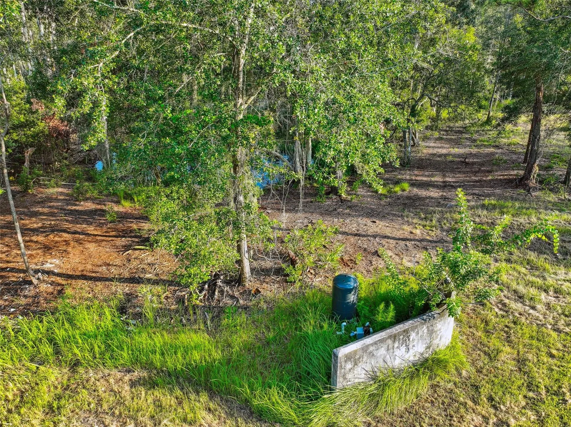 1758 Land O Lakes Boulevard Lutz FL 33549