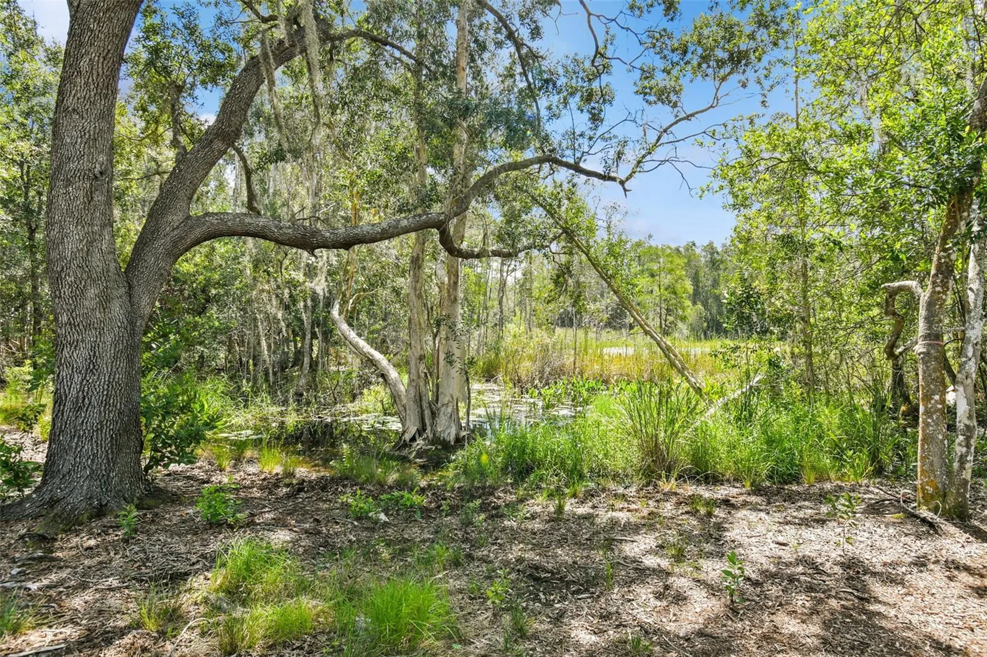 1758 Land O Lakes Boulevard Lutz FL 33549