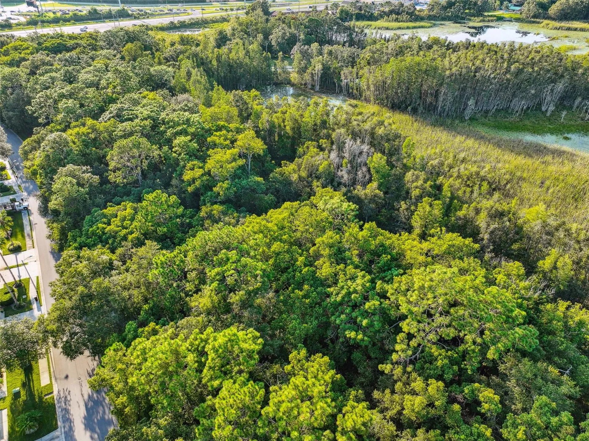 1758 Land O Lakes Boulevard Lutz FL 33549