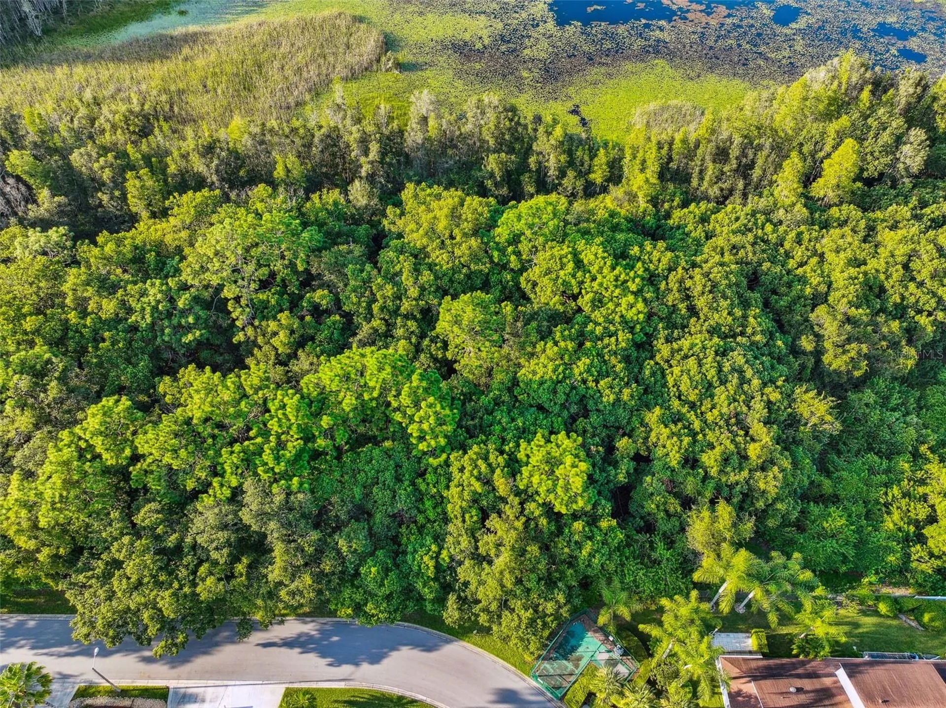 1758 Land O Lakes Boulevard Lutz FL 33549