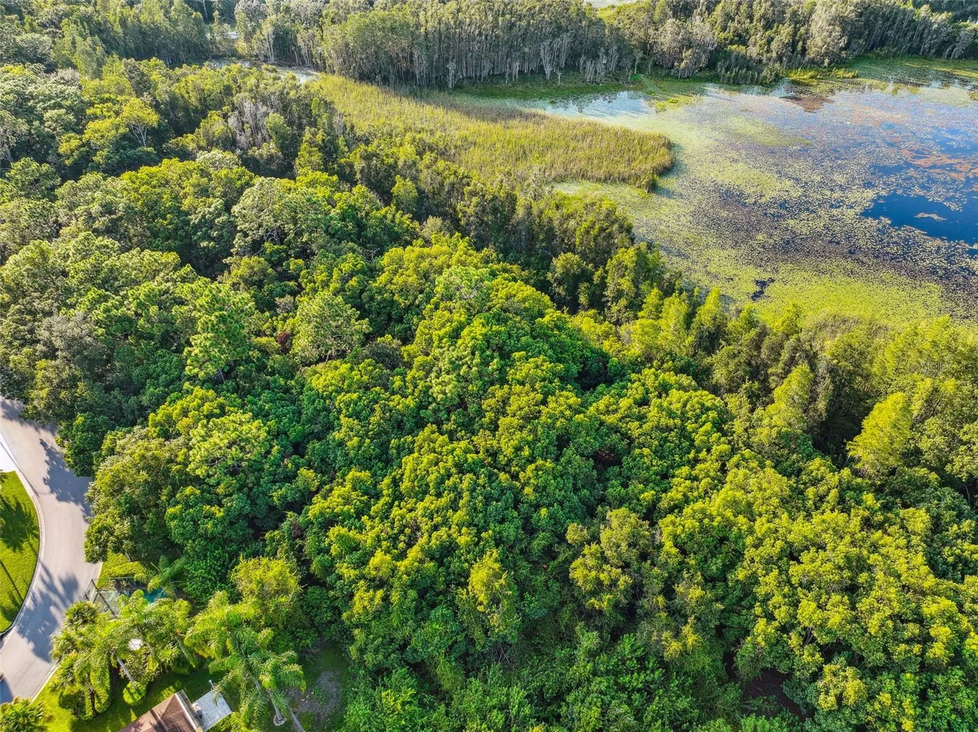 1758 Land O Lakes Boulevard Lutz FL 33549