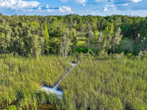 1758 Land O Lakes Boulevard Lutz FL 33549